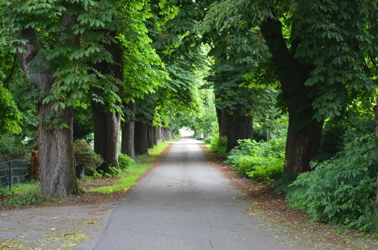 Wohnung Am Weserradweg Deesberg Exterior foto